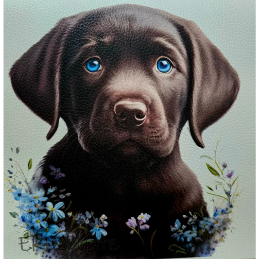 Kunstleder Panel Brown Puppy 25x 25cm - Brown Puppy 25 - P25